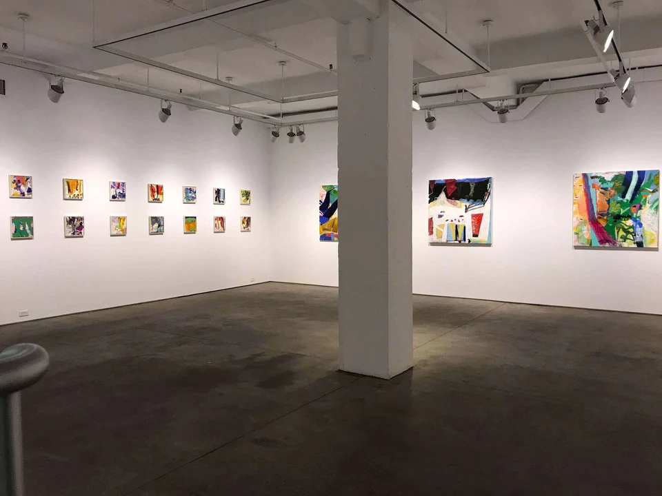 Installation view, Julian Hatton: Free Range at Elizabeth Harris Gallery, New York, 2017