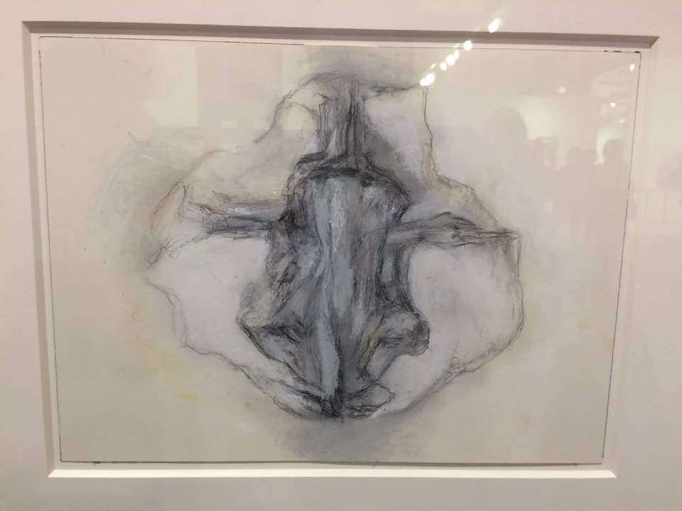 Hedda Sterne drawing at Van Doren Waxter