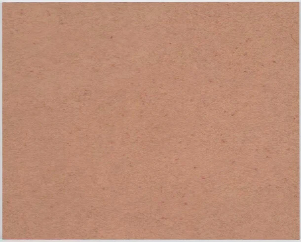 David Gracie, Untitled (Skin), oil on panel, 15.75 x 19.75 inches (courtesy of the artist)
