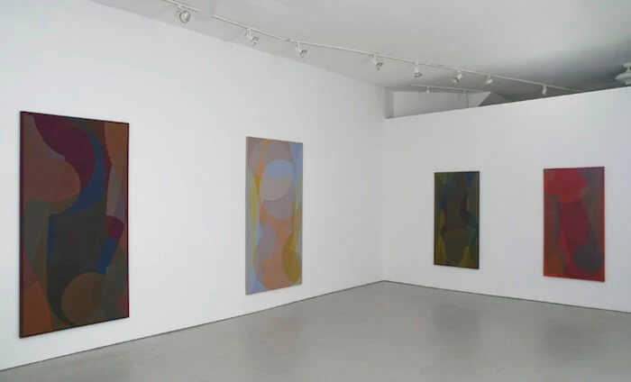 Installation View: Halsey Hathaway at Rawson Projects, April 2013