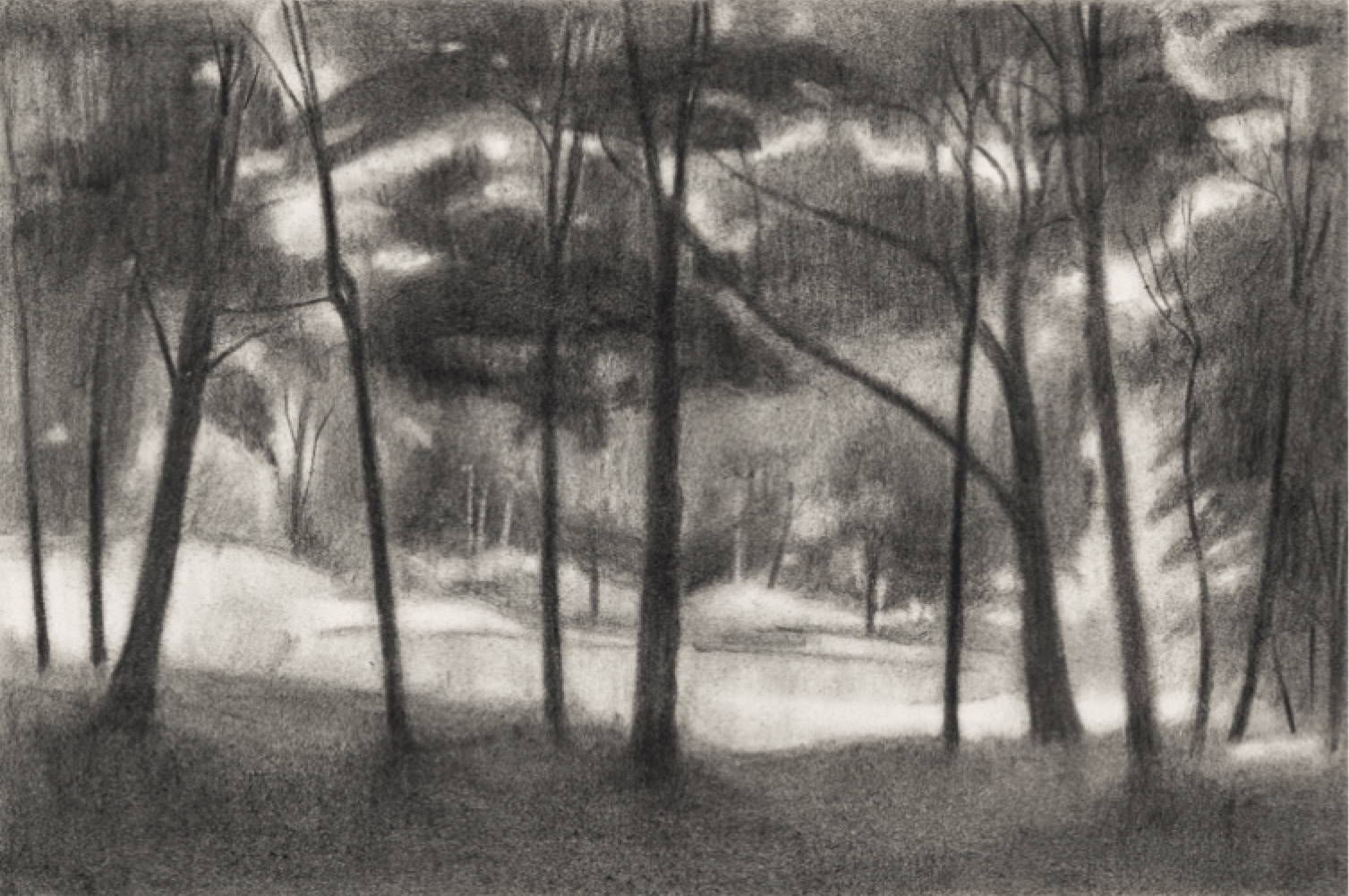 Ron Milewicz, Trees and Pond, 2018, pencil on paper, 12 x 18 inches